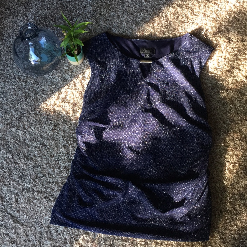 dressbarn 1X Blue Sparkly Dress Tank Top... Fancy!